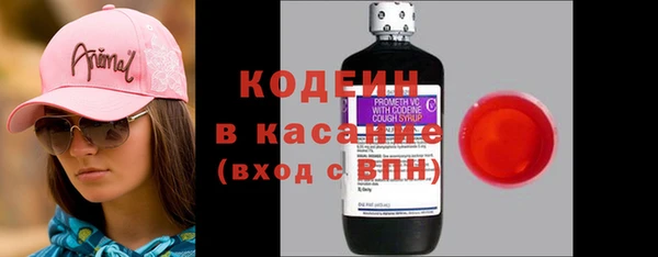 индика Сосновый Бор