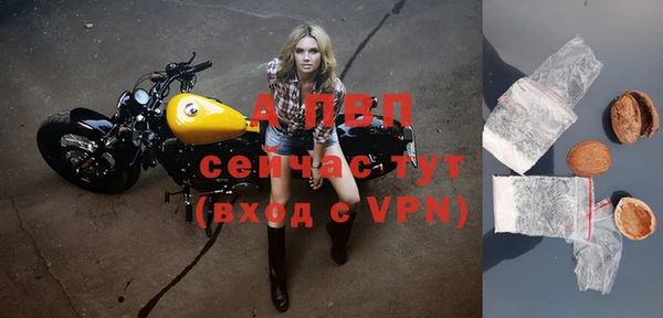 экстази Белокуриха