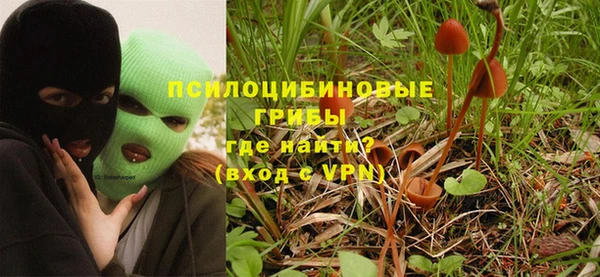 экстази Белокуриха